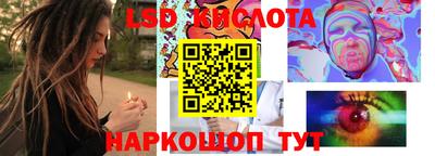 PSILOCYBIN Заволжье